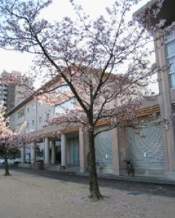 金沢城址公園入口にて「公園内、はなちゃんは入れないのでここでお別れでした。」|お花見歩こう会